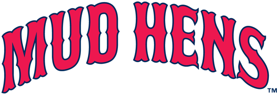 Toledo Mud Hens 19-2005 Wordmark Logo iron on heat transfer